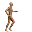 © high_resolution - High resolution conceptual human for anatomy,medicine, health
