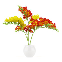 Red And Yellow Flower In Pot Isolated On White Background