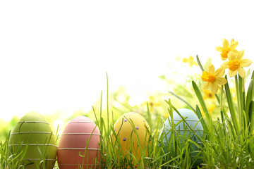 Canvas Print - Easter eggs on green grass