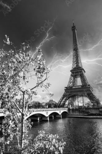 Obraz w ramie Beautiful colors and vegetation near Eiffel Tower and Seine rive