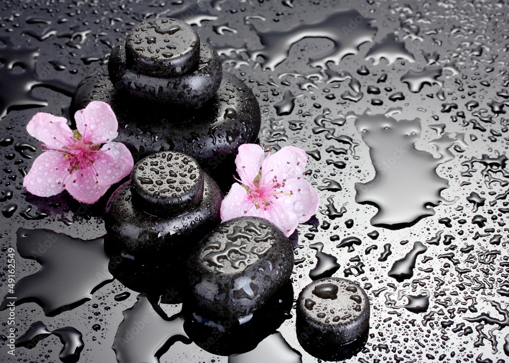Spa stones with drops and pink sakura flowers