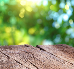 Wall Mural - Blur background of nature