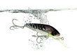 gray lure making a splash in water on white background