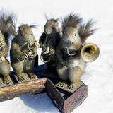 stuffed squirrels band