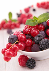 Wall Mural - assortment of berries