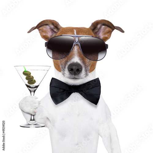 martini dog Wallpaper Mural