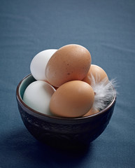 Poster - brown and white eggs