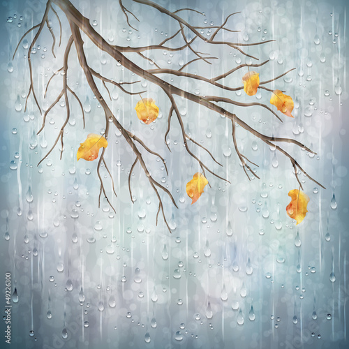 Naklejka dekoracyjna Vector autumn rain weather artistic natural design