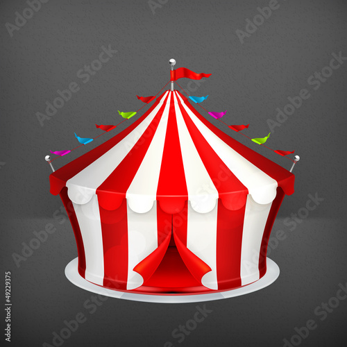 Circus