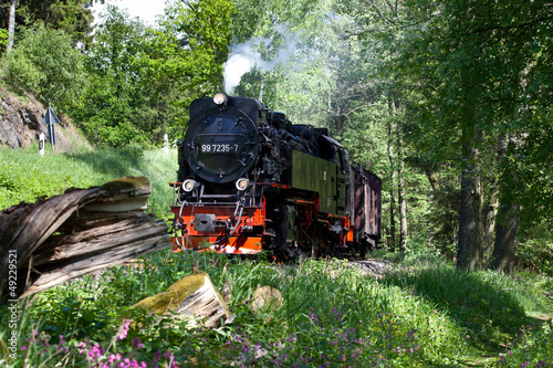 Fototapeta na wymiar Selketalbahn Harz