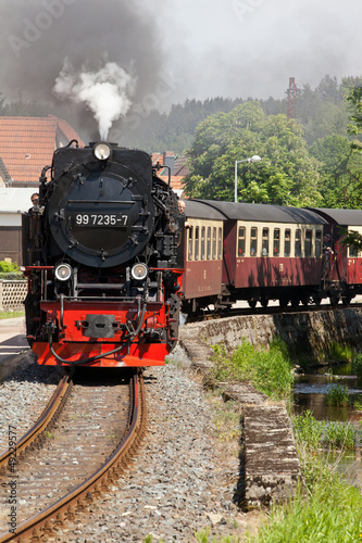Dekoracja na wymiar  kolejka-selketalbahn-harz