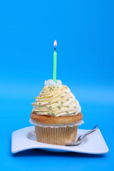 Birthday cupcake with candle