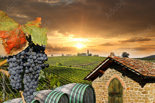 Naklejka - mata magnetyczna na lodówkę Chianti, famous vineyard in Italy
