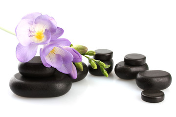 Poster - Spa stones and purple flower, isolated on white