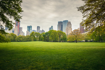 central park at rainy day