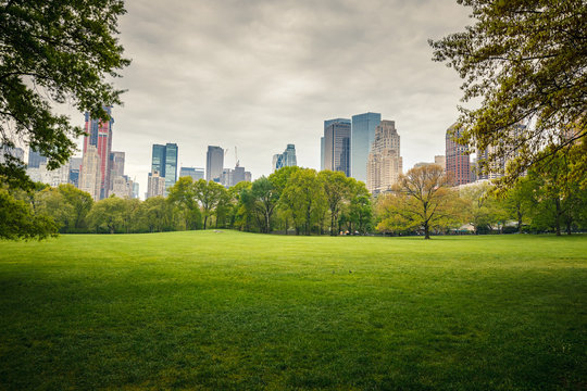 central park at rainy day