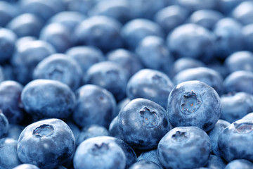 Wall Mural - blueberries