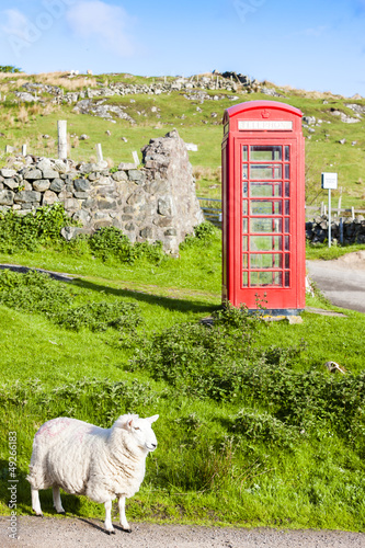 Foto-Flächenvorhang ohne Schienensystem - telephone booth with sheep, Clashnessie, Highlands, Scotland (von Richard Semik)
