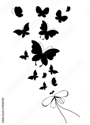 Naklejka na szafę butterfly,butterflies vector