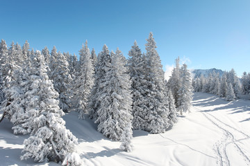 Wall Mural - Paysage de montagne en hiver