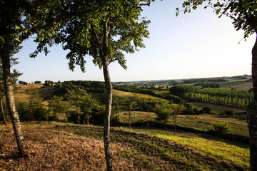 Gers landscape in evening light