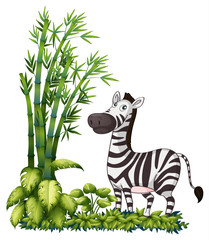 Sticker - A zebra near the bamboo grass