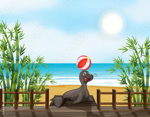 Jalousie-Rollo - A seal playing with ball (von GraphicsRF)