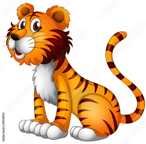 Foto-Duschvorhang - A tiger (von GraphicsRF)