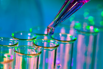 Wall Mural - pipette adding fluid to one of several test tubes