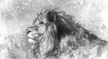 Lion Tattoo Illustration Art, Handmade Drawing