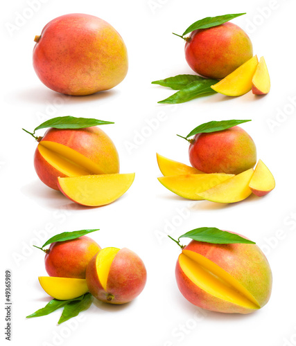 Naklejka na drzwi mango collection