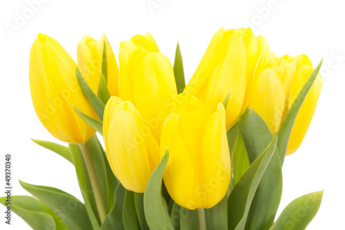 Bunch of tulips - 49370340