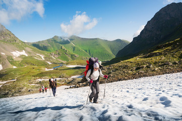 Wall Mural - group hiking