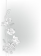 Wall Mural - grey illustration with grapes and vines