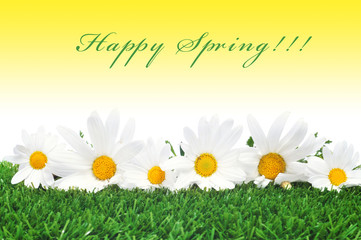 Poster - happy spring