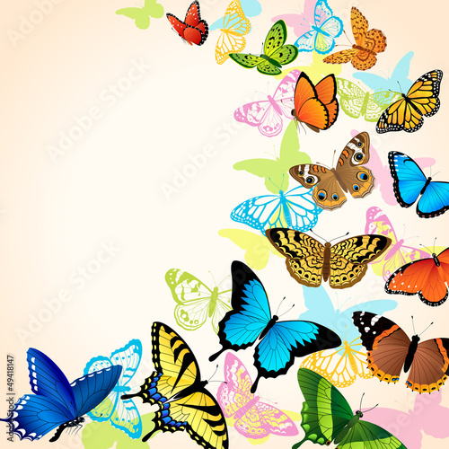 Nowoczesny obraz na płótnie Butterfly card