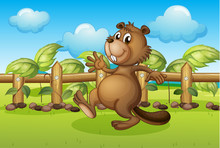 A Beaver Running Inside A Fence
