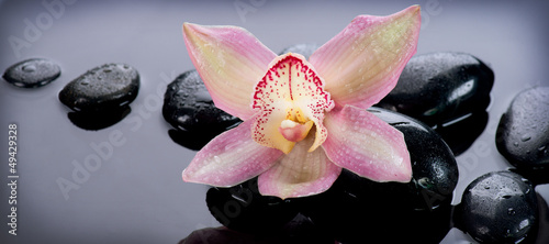 Naklejka nad blat kuchenny Zen Stones and Orchid Flower. Stone Massage