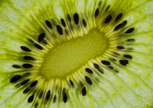 Slice Of A Kiwi Fruit