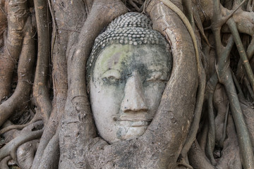 Fototapete - Buddha face
