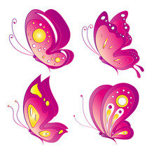 Butterfly,butterflies Vector