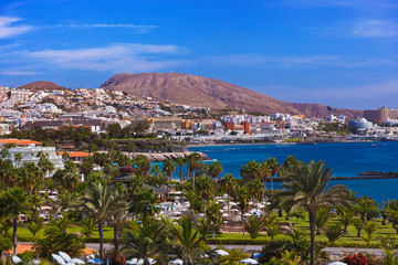 Poster - Beach in Tenerife island - Canary
