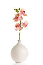 Flower And Vase.