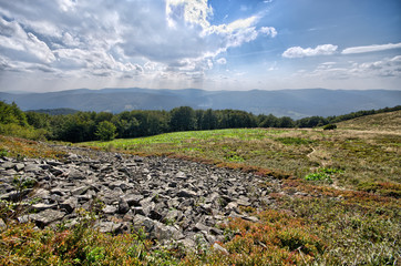 Wall Mural - Lot of rocks