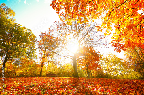 Naklejka dekoracyjna Bunte Herbststimmung