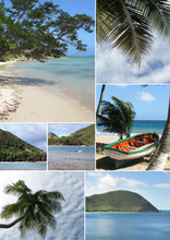 Montage Of A Tropical Beach