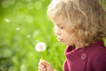 Wall Mural - Child with dandelion