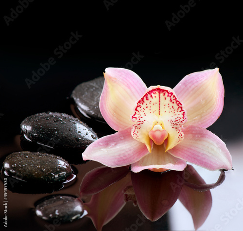 Foto-Lamellenvorhang - Zen Stones and Orchid Flower. Stone Massage (von Subbotina Anna)