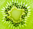 Kiwi, macro