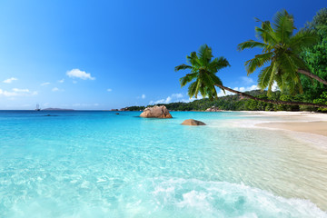 Fotomurali - Anse Lazio beach at Praslin island, Seychelles